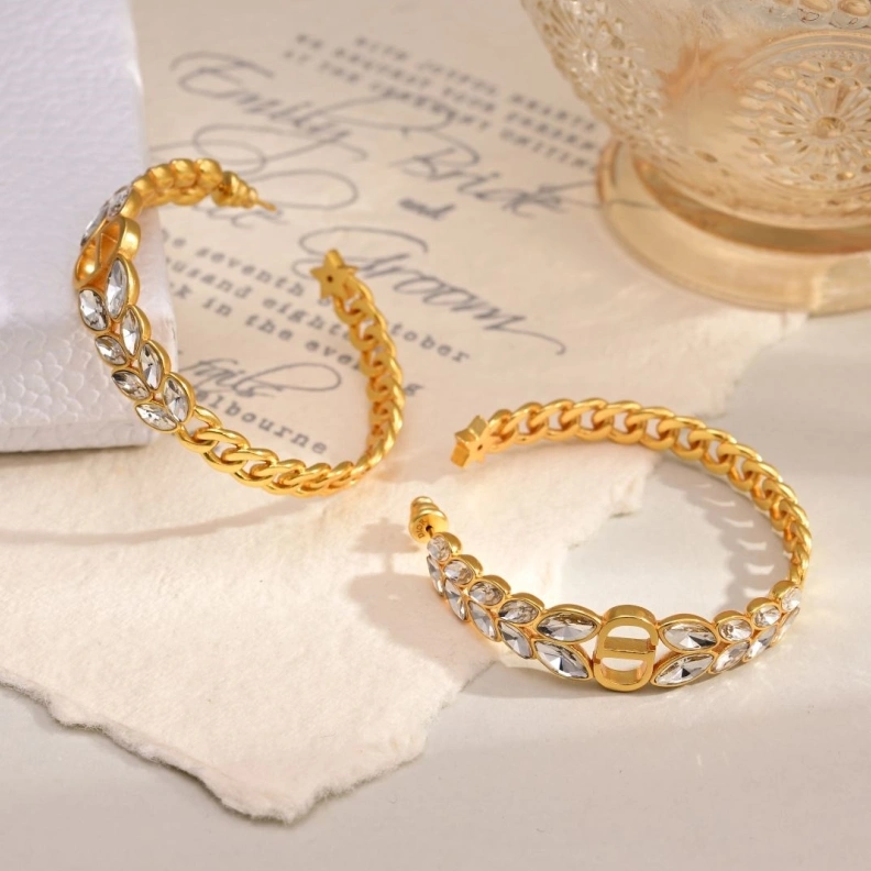Christian Dxxr Earrings Sleek 294136
