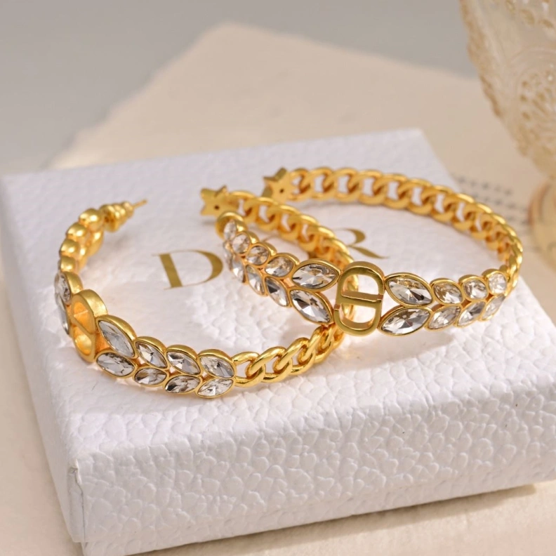 Christian Dxxr Earrings Sleek 294136