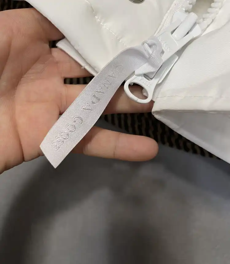 CHXNXL Modern 265392