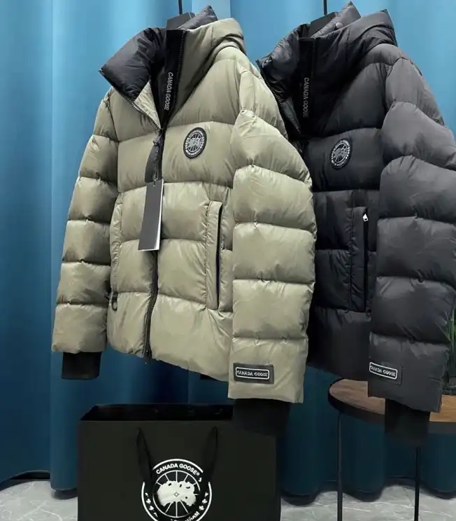 FXNDX DailyWear 265329