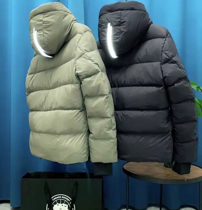 FXNDX DailyWear 265329