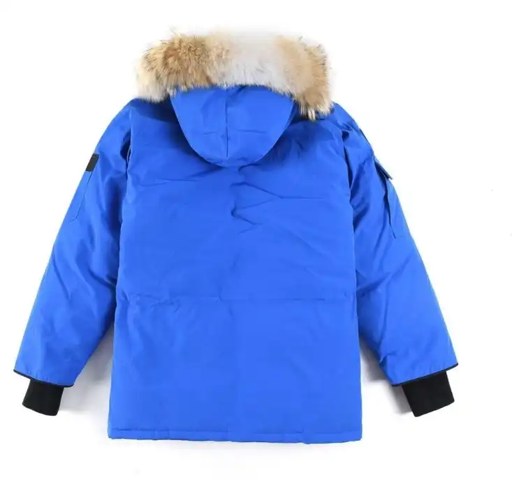 WellDesigned HXRMXS 278998