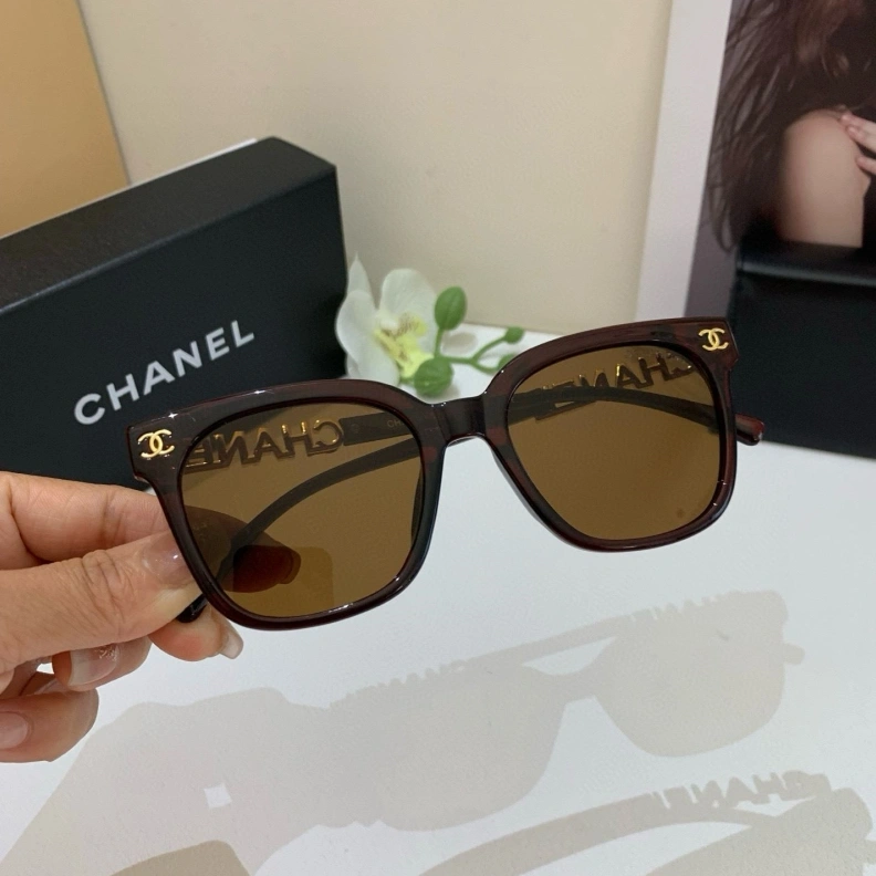 WellDesigned Chxnxl Sunglasses 250782