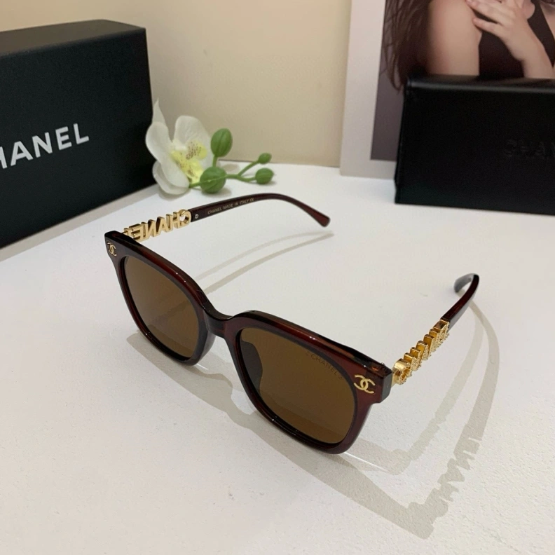 WellDesigned Chxnxl Sunglasses 250782