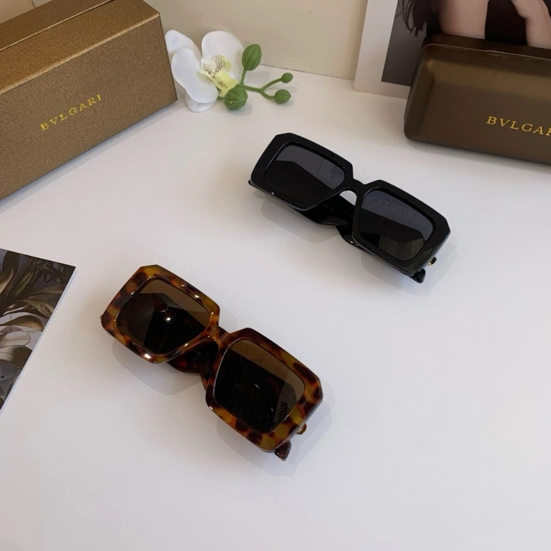 Bxttxga Vxnxta Sunglasses Compact 250059