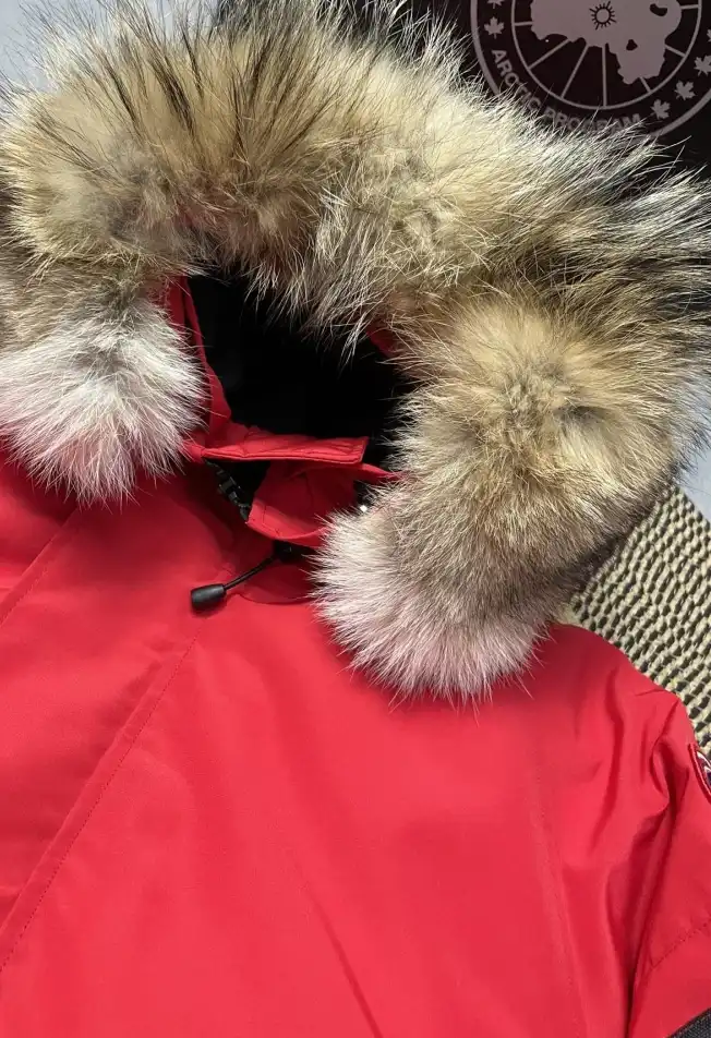 Bright CHXNXL 279177