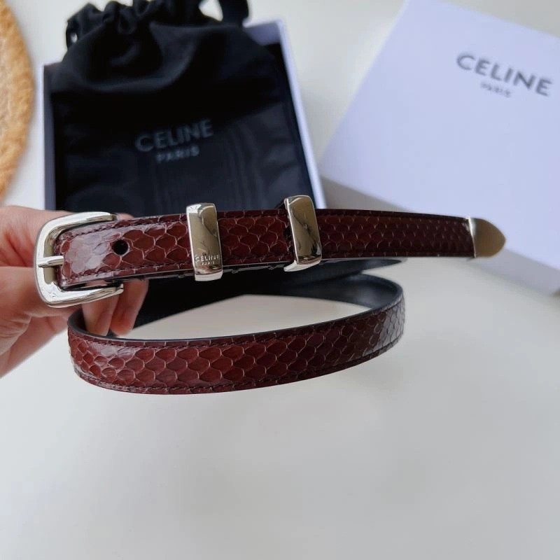 CXLXNE Versatile 241309