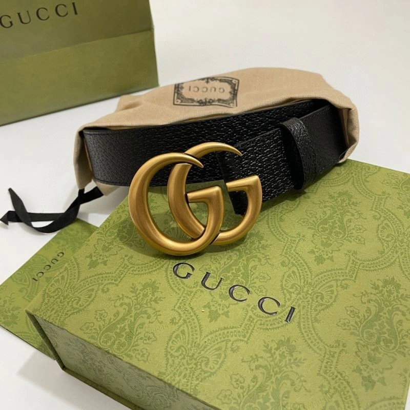 DailyWear GXCCX 244792