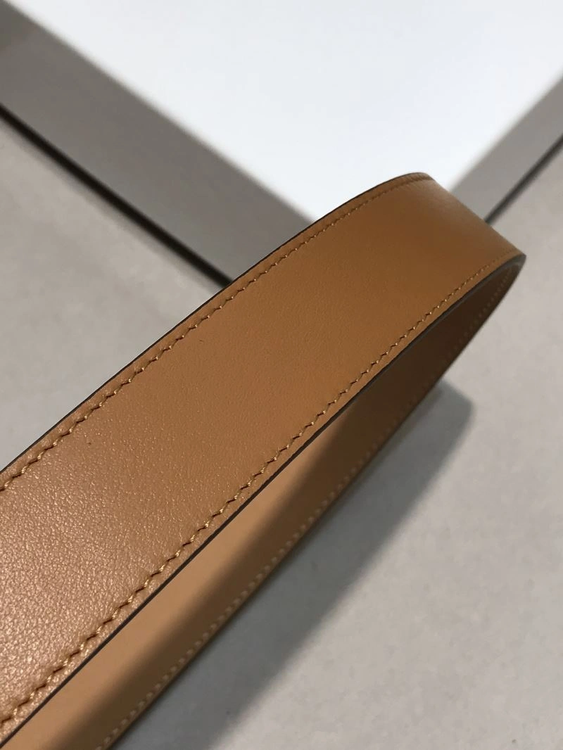 ModernLook Gxccx Belts 244262