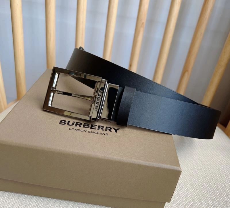 Bxrbxrry Belts WellDesigned 240753