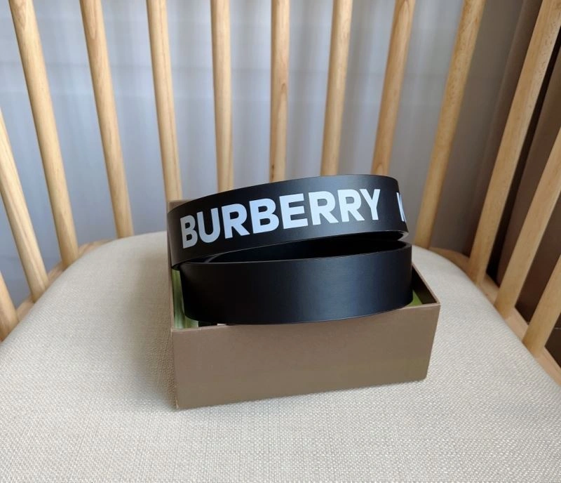 Bxrbxrry Belts WellDesigned 240753