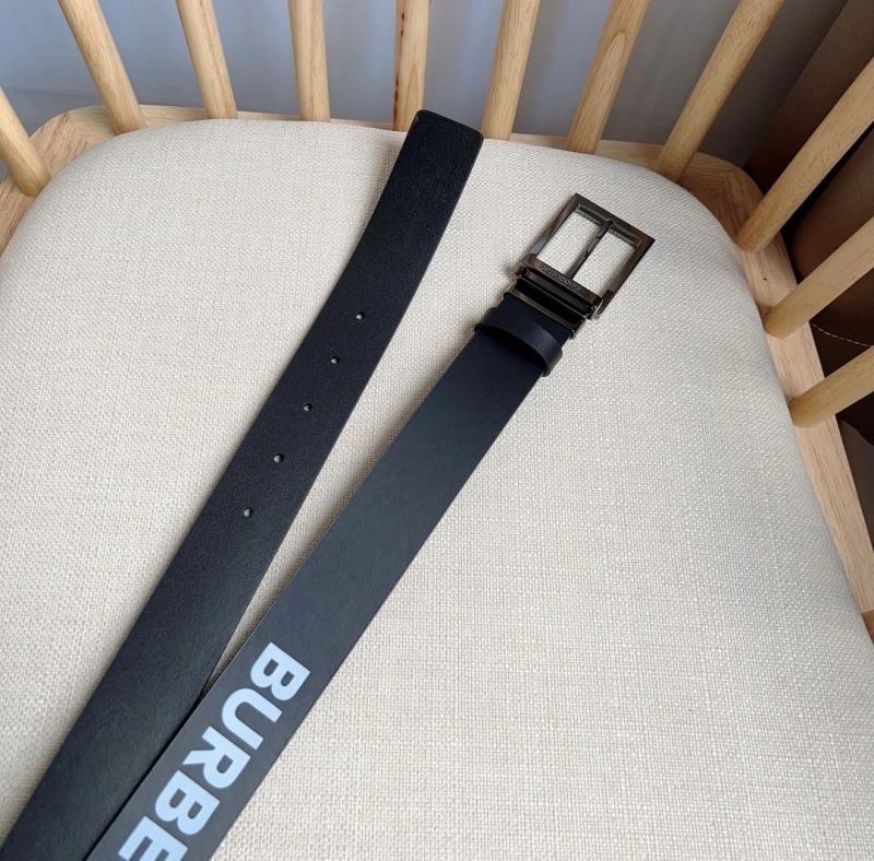 Bxrbxrry Belts WellDesigned 240753