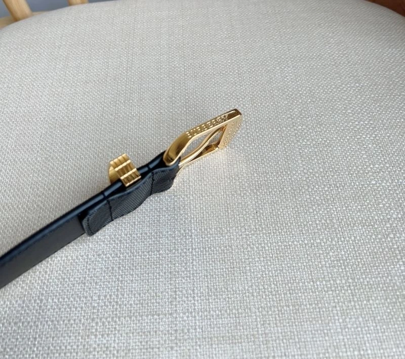 Unique Bxrbxrry Belts 240761