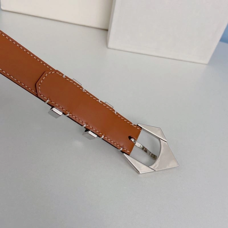 CXLXNE Belts Compact 241208