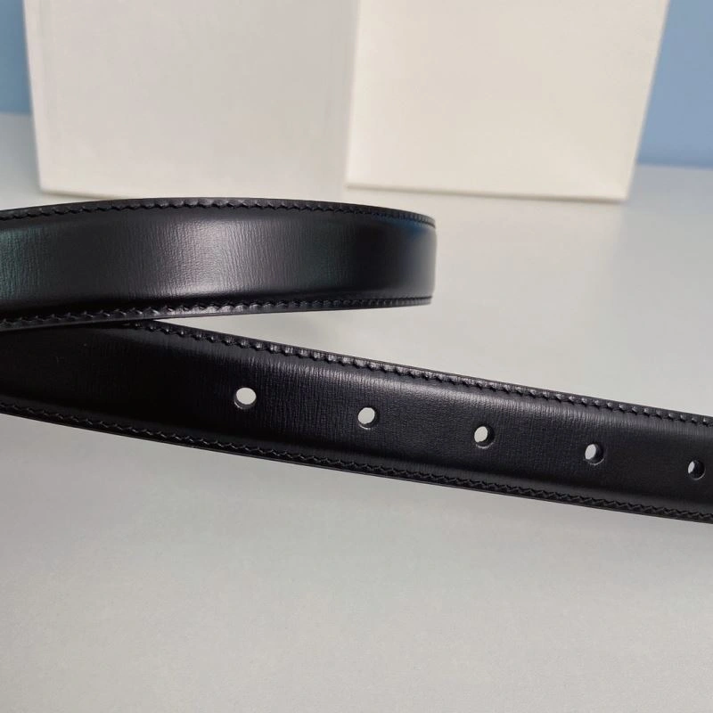 CXLXNE Belts GoAnywhere 241201