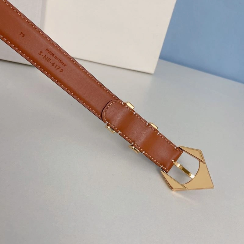 Vibrant CXLXNE Belts 241203