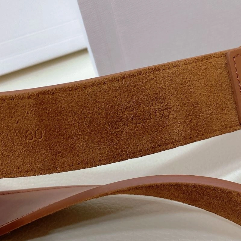 Resilient CXLXNE Belts 241183