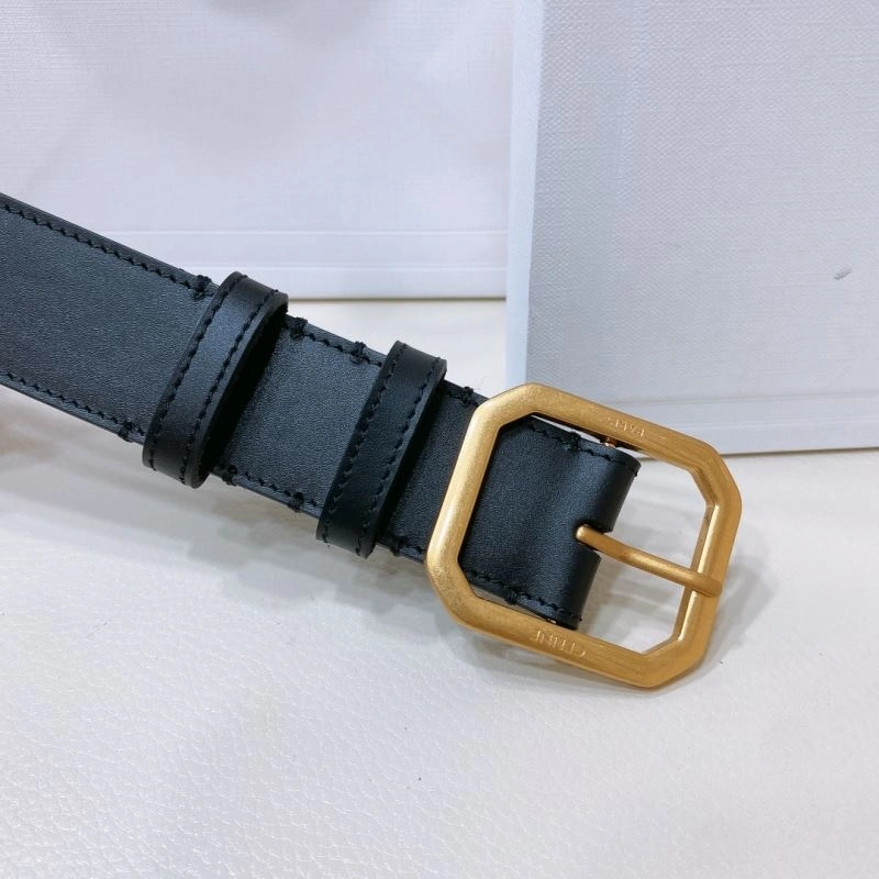 WellDesigned CXLXNE Belts 241198