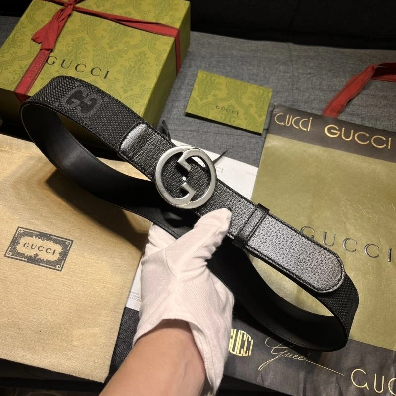 DailyWear Gxccx Belts 244110