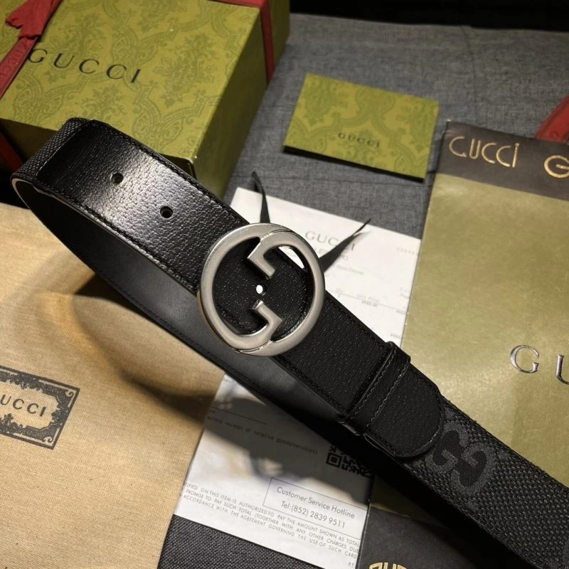 DailyWear Gxccx Belts 244110