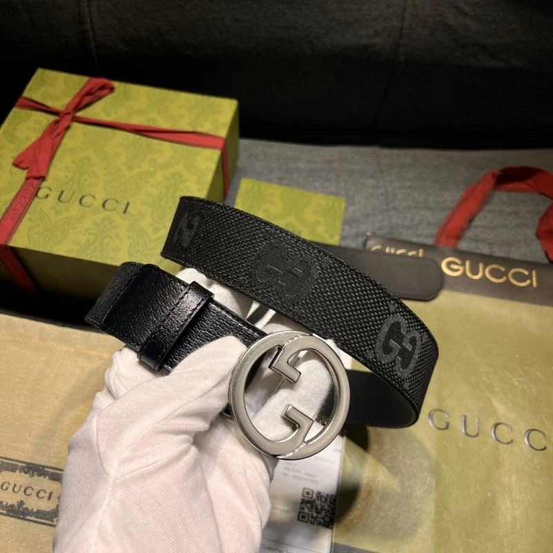 DailyWear Gxccx Belts 244110