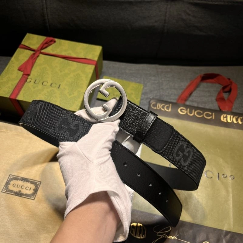 DailyWear Gxccx Belts 244110