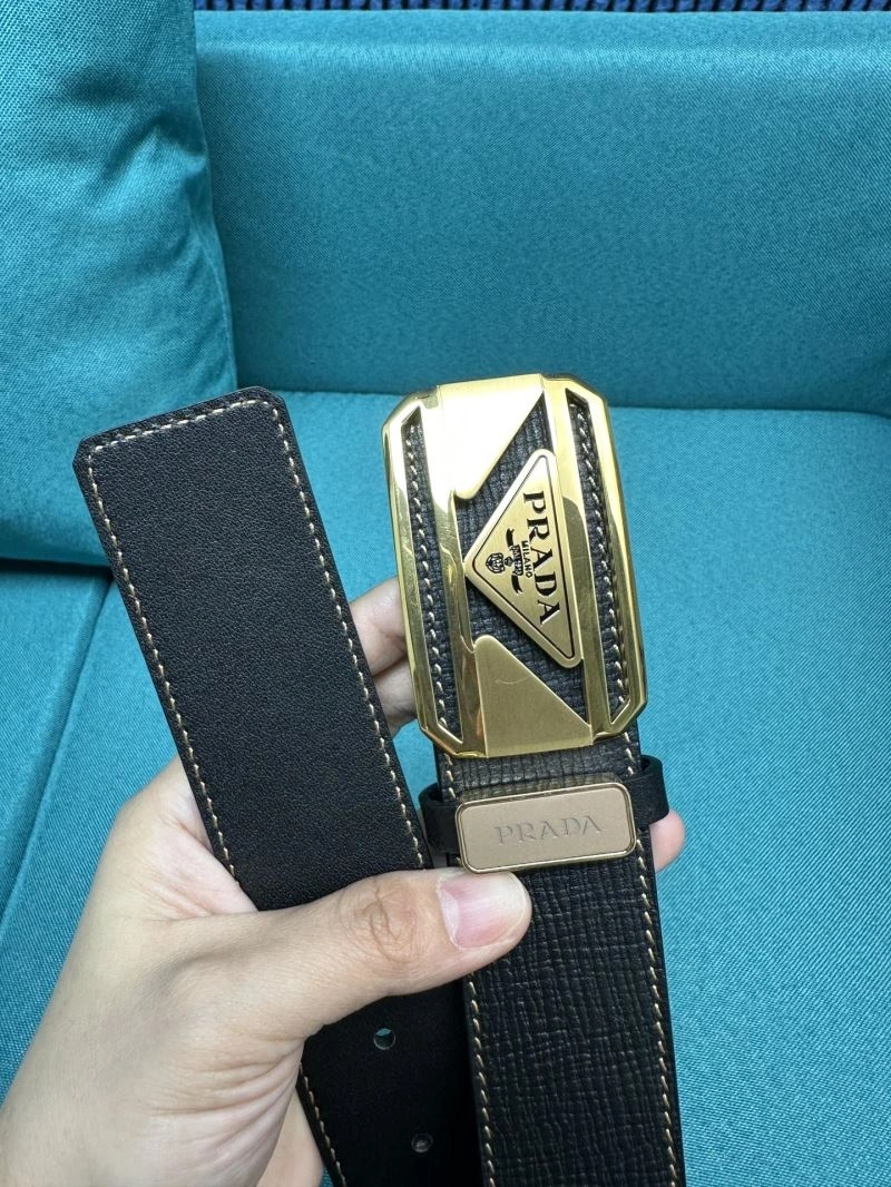 Prxdx Belts Vibrant 248398