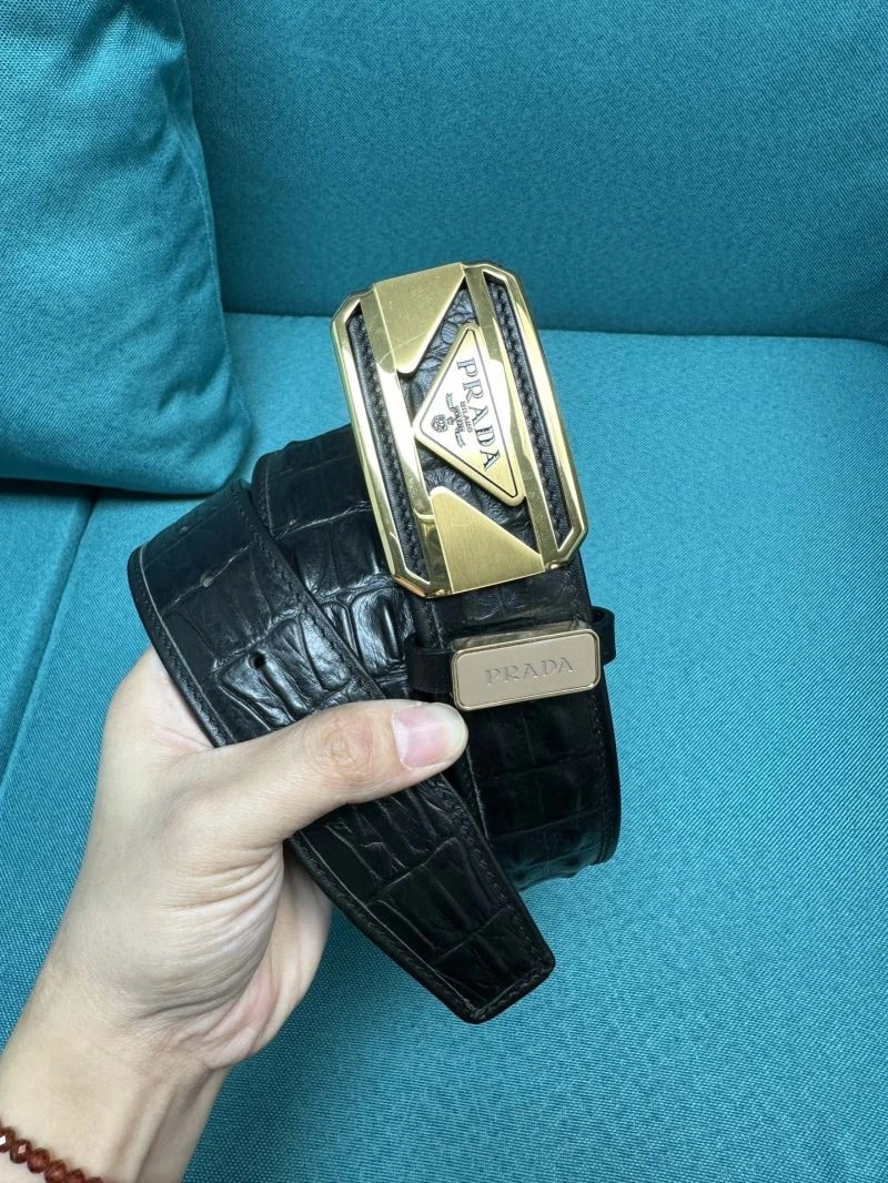 WellDesigned Prxdx Belts 248392