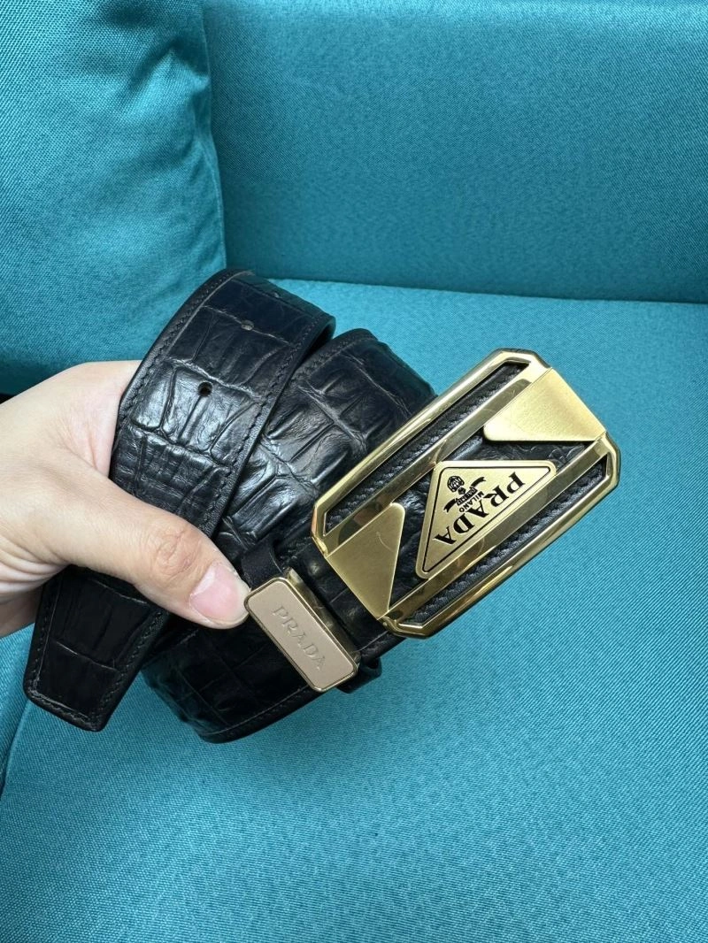 WellDesigned Prxdx Belts 248392