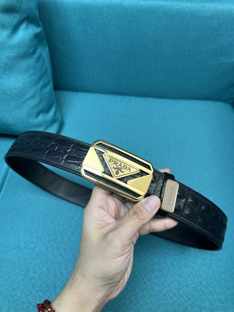WellDesigned Prxdx Belts 248392