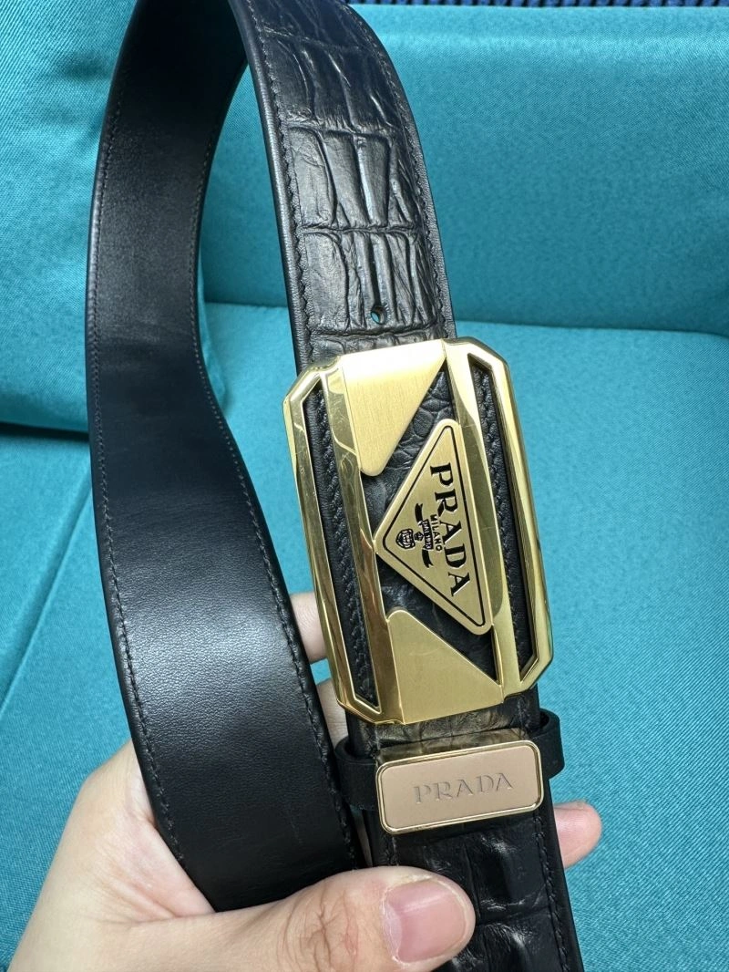 WellDesigned Prxdx Belts 248392