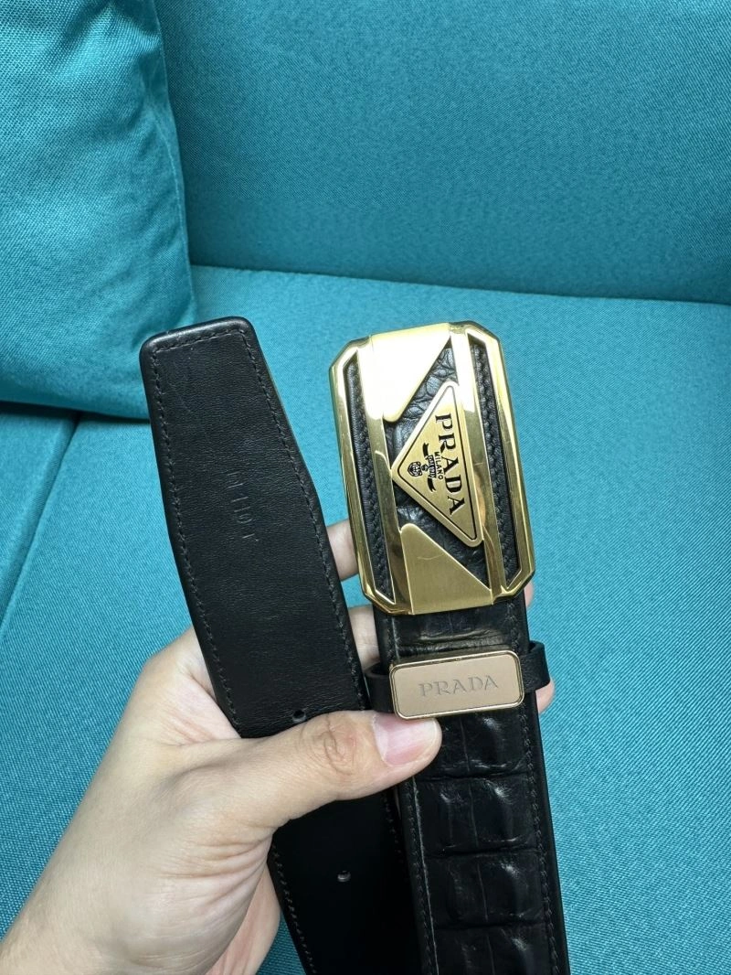 WellDesigned Prxdx Belts 248392