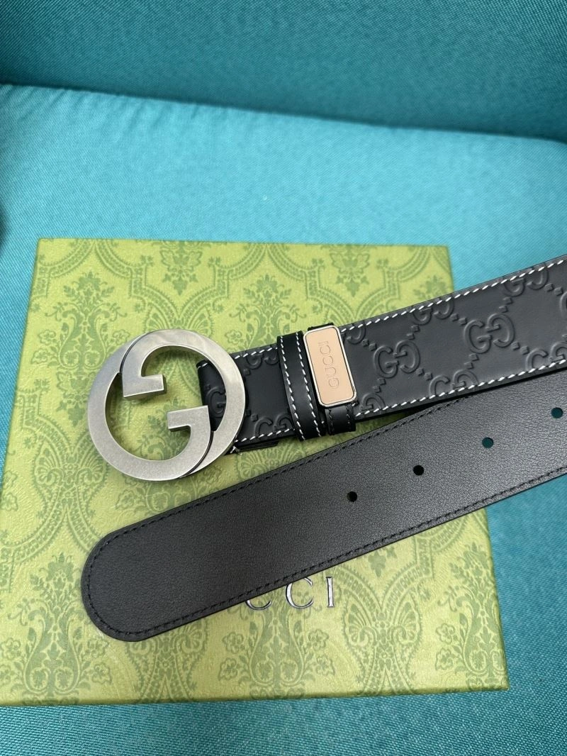 NewStyle Gxccx Belts 244050