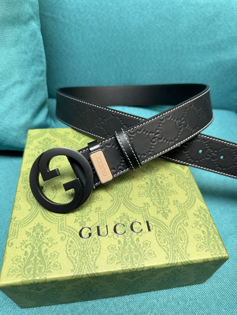DailyWear Gxccx Belts 243825