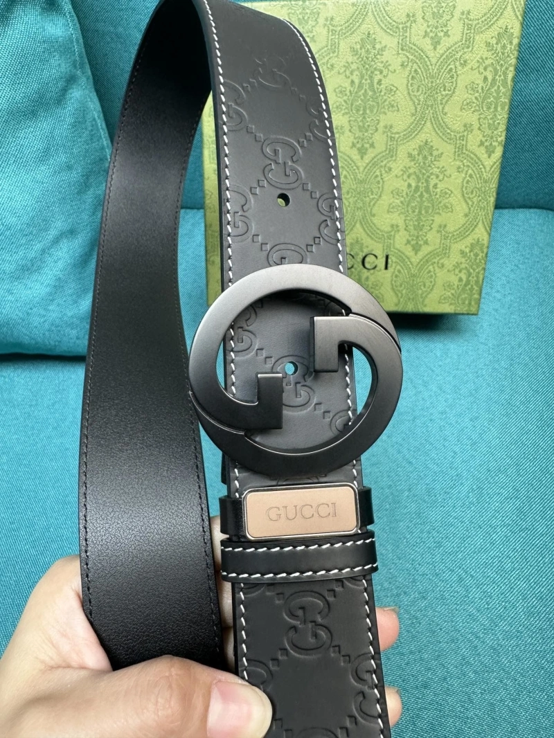DailyWear Gxccx Belts 243825