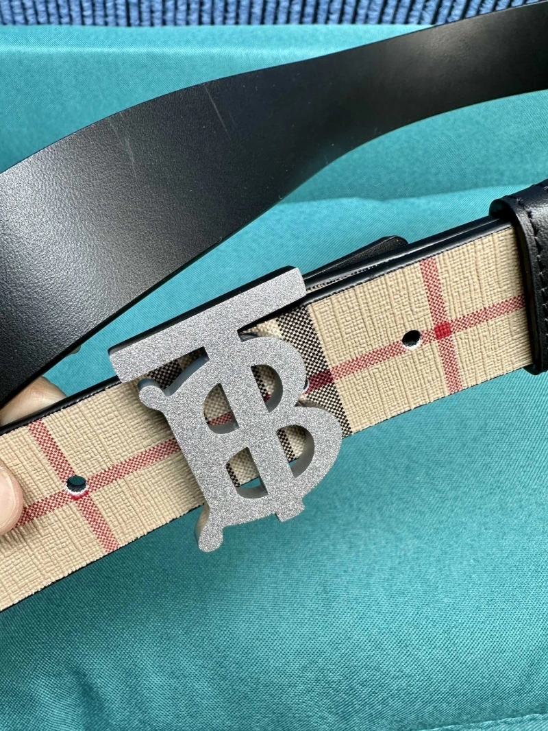 DailyWear Bxrbxrry Belts 240708