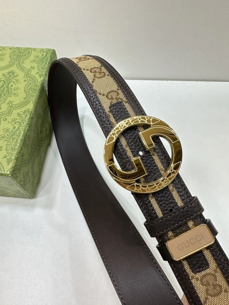 Vibrant Gxccx Belts 243777