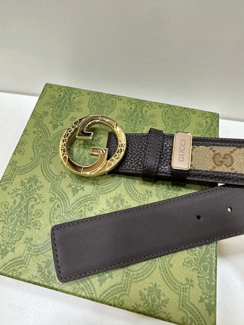 Vibrant Gxccx Belts 243777