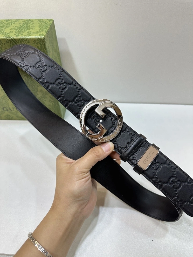 DailyWear Gxccx Belts 243764