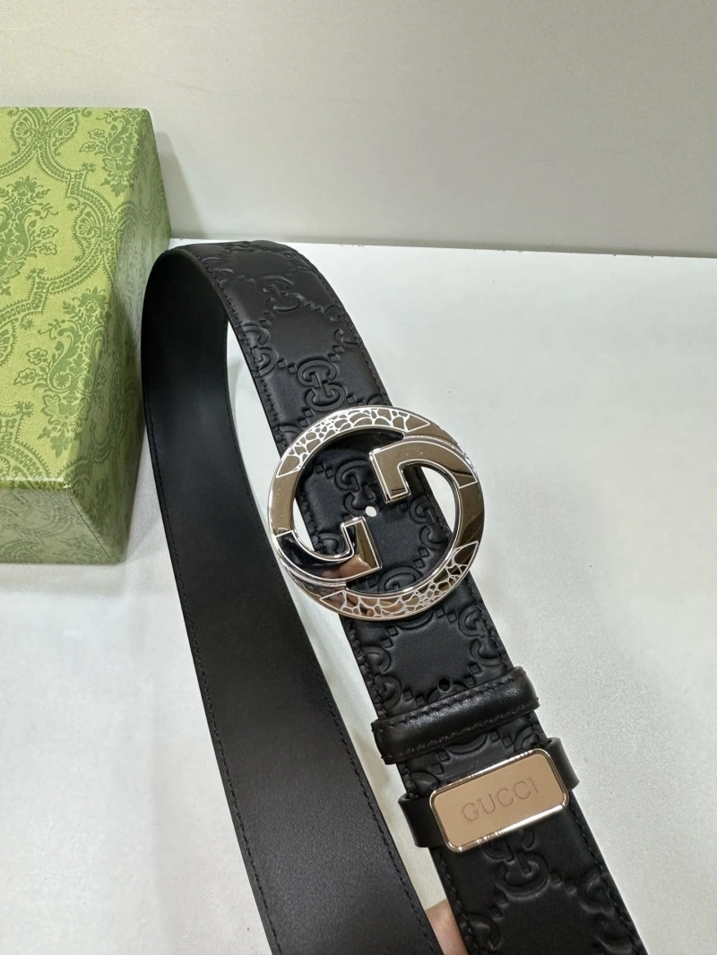 DailyWear Gxccx Belts 243764