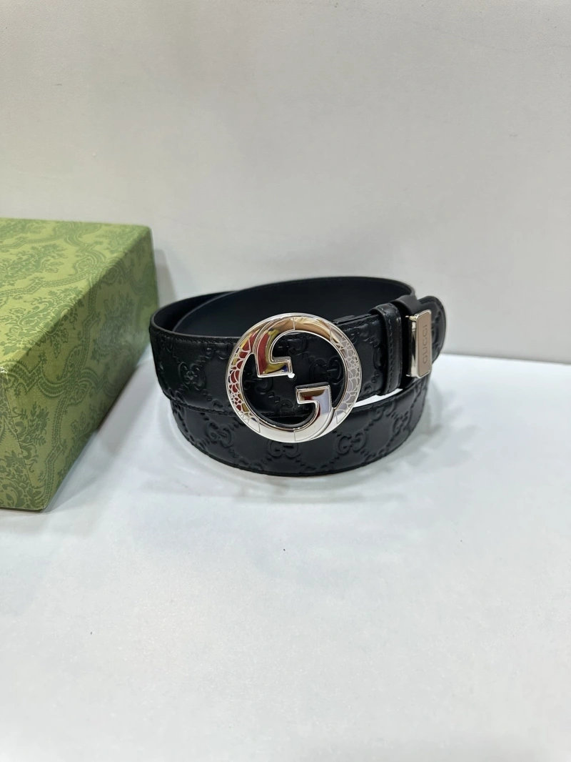 DailyWear Gxccx Belts 243764