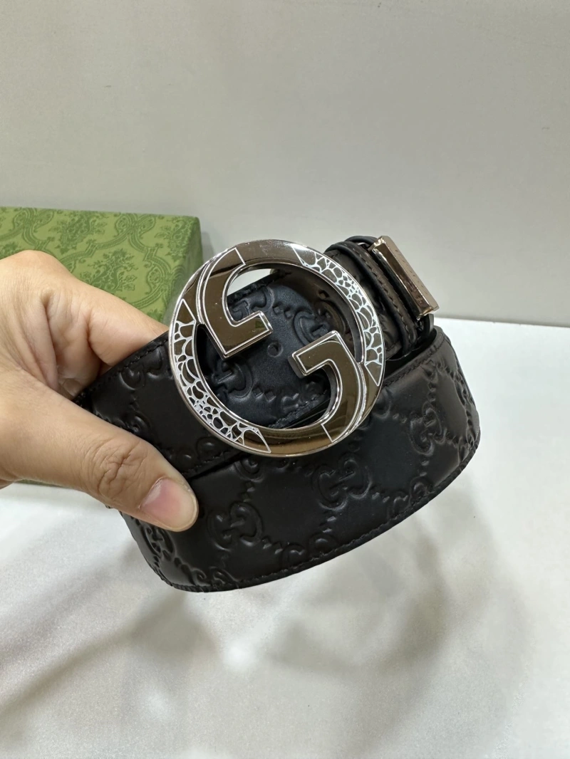 DailyWear Gxccx Belts 243764