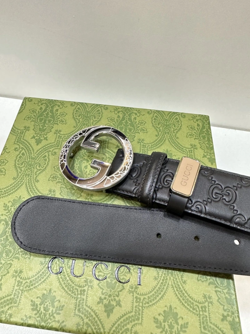 DailyWear Gxccx Belts 243764