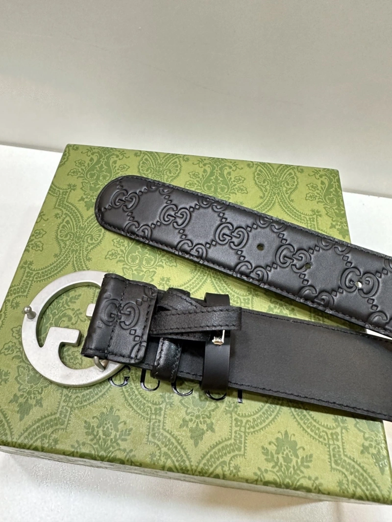 DailyWear Gxccx Belts 243764