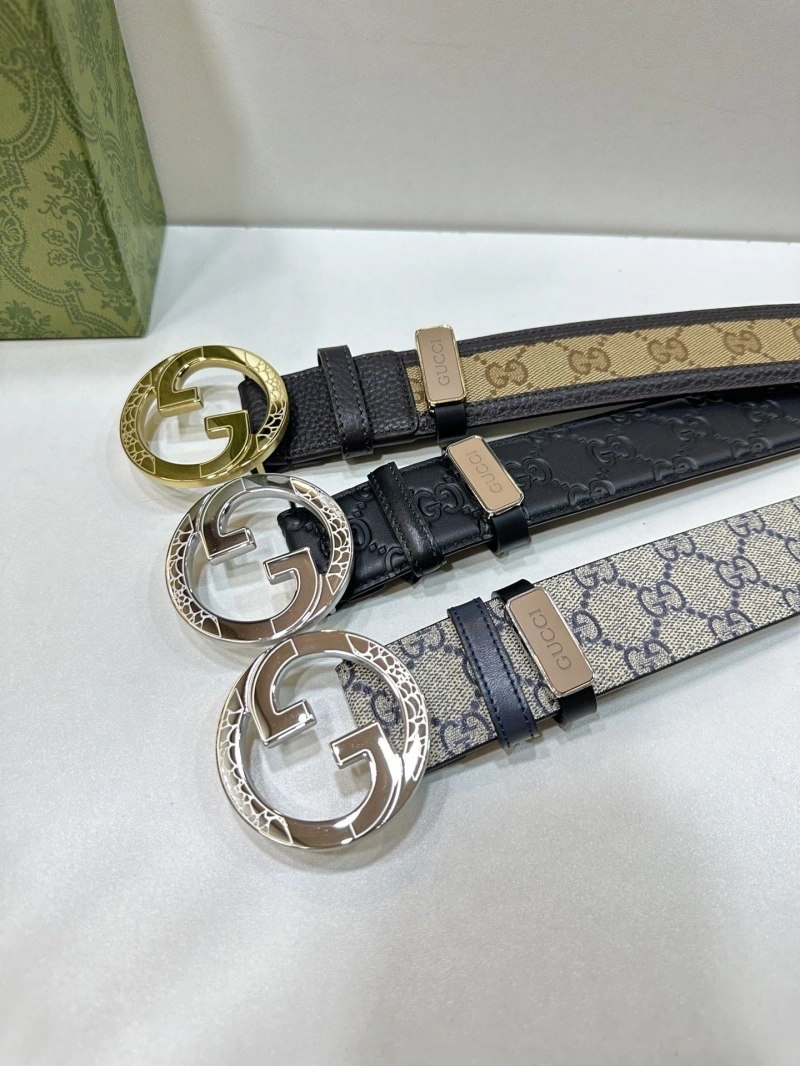 DailyWear Gxccx Belts 243764