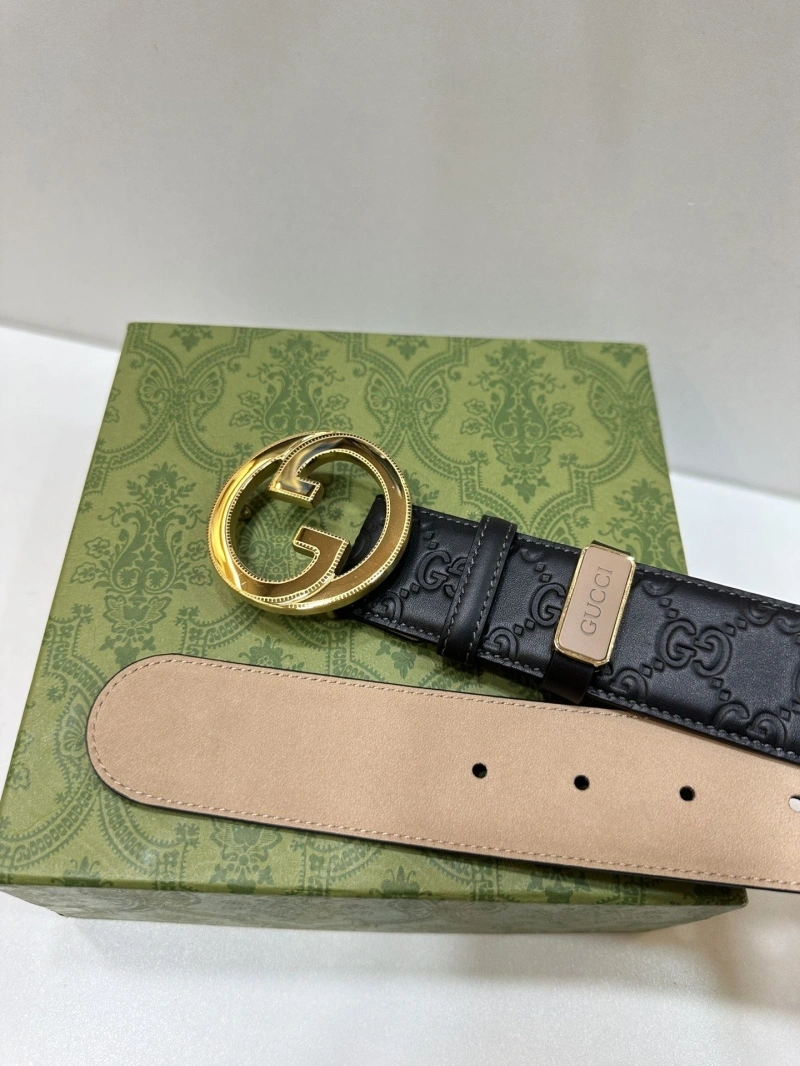 Gxccx Belts GoAnywhere 243771