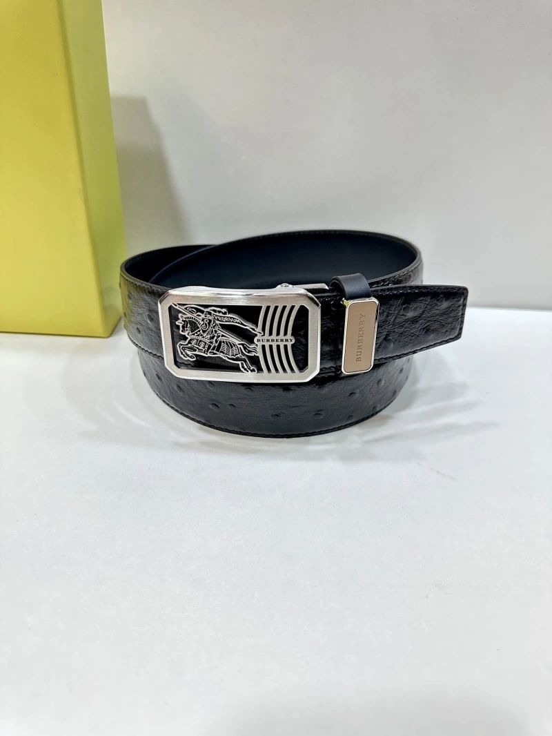 Popular Bxrbxrry Belts 240706