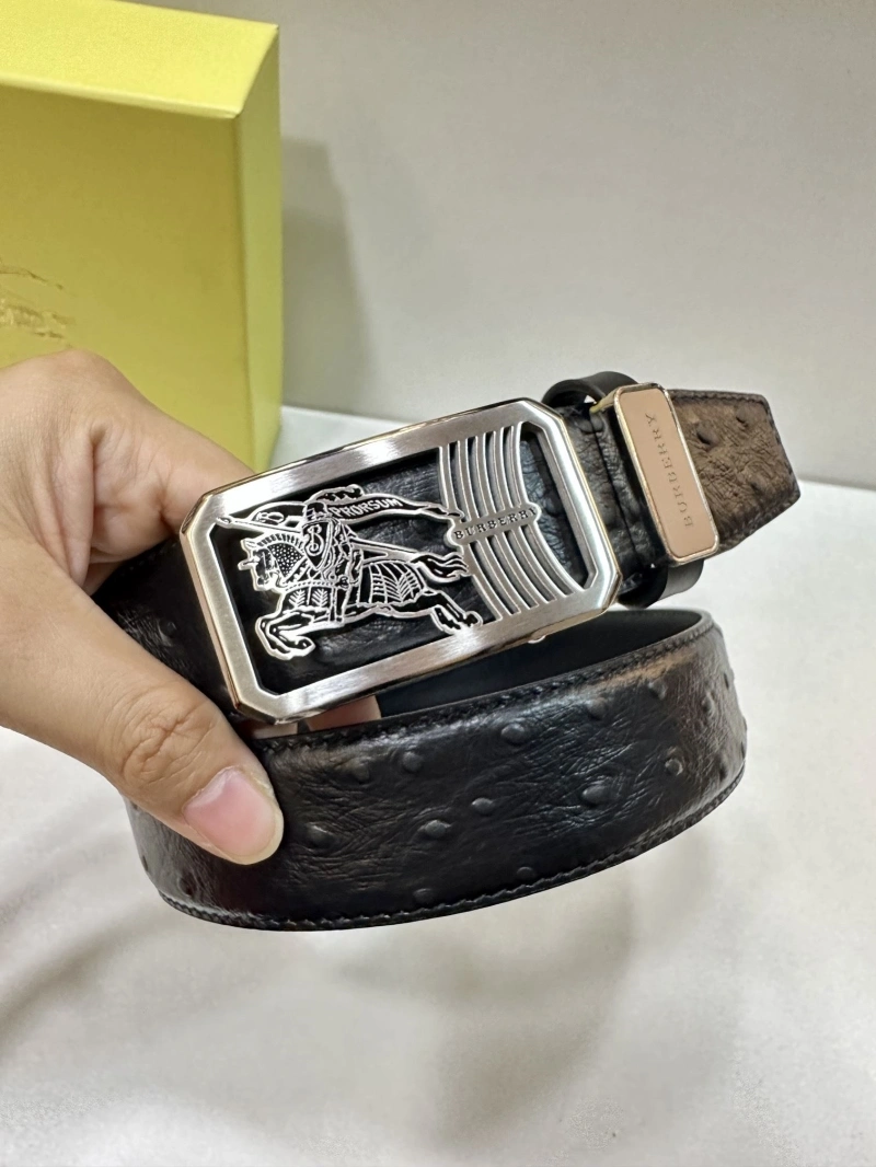 Popular Bxrbxrry Belts 240706