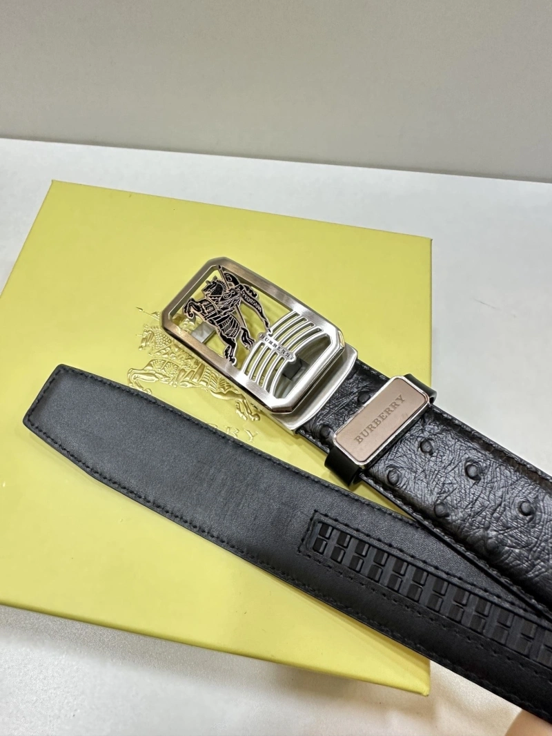 Popular Bxrbxrry Belts 240706
