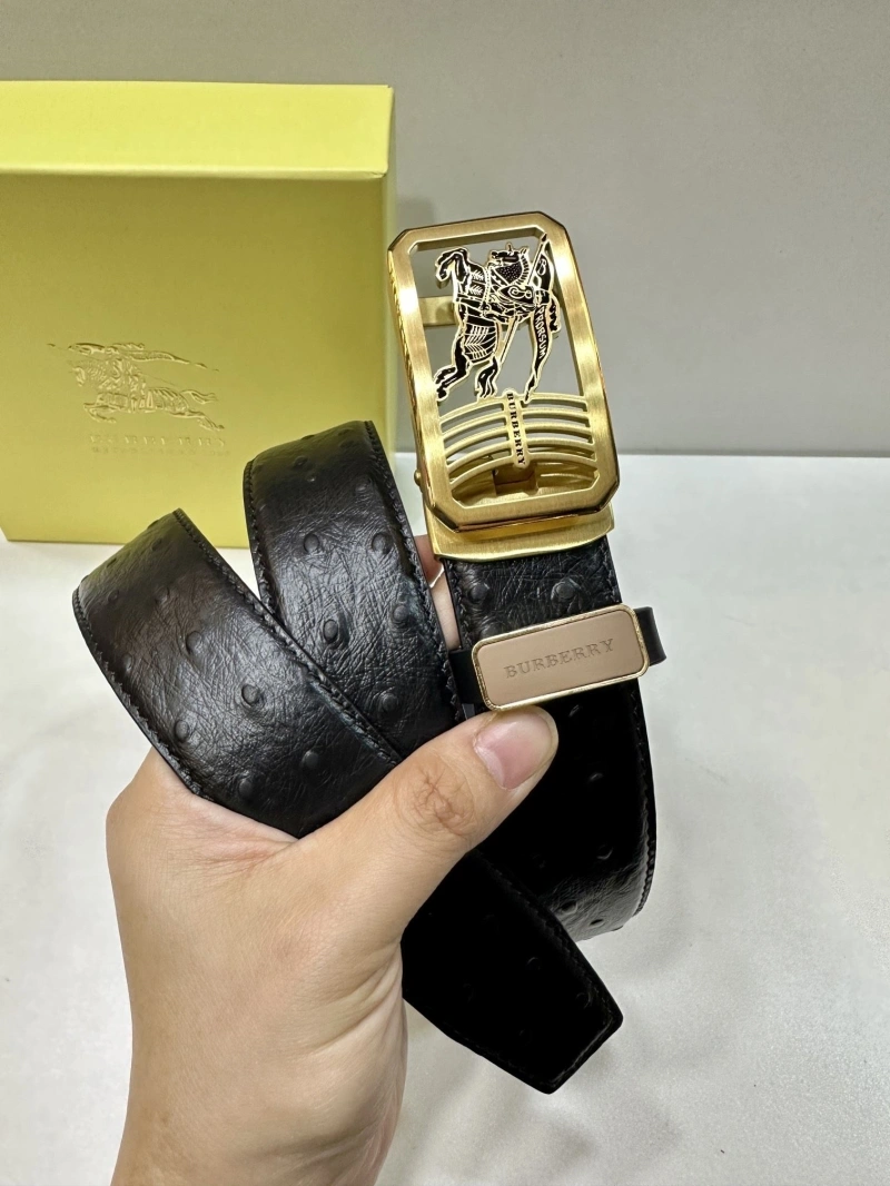 Bxrbxrry Belts Soft 240707